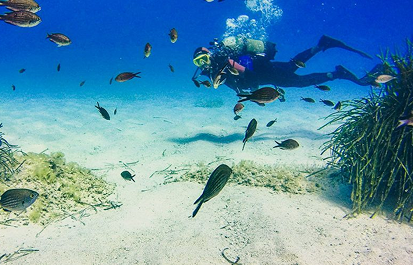 Exploring Albania’s Athletic Spirit: The Ultimate Sports Tour Guide